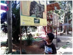 Luas Kebun Binatang Medan 30 Hektar
