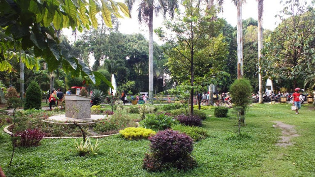 Taman Beringin, Hutan di Tengah Kota Medan
