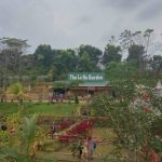 Melancong Naik Odong odong ke Pemandian Alami Babar Sari 