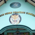 Taman Hewan Siantar, Siantar Zoo