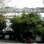 Taman Penangkaran Buaya "Lo Tham Muk" Asam Kumbang, Medan